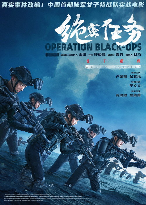 :　绝密任务 海报
