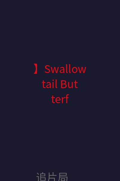 】Swallowtail Butterfly / Suwarôteiru 海报