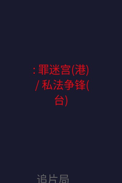 : 罪迷宫(港) / 私法争锋(台) 海报