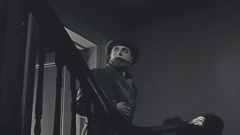 The Lodger 剧照