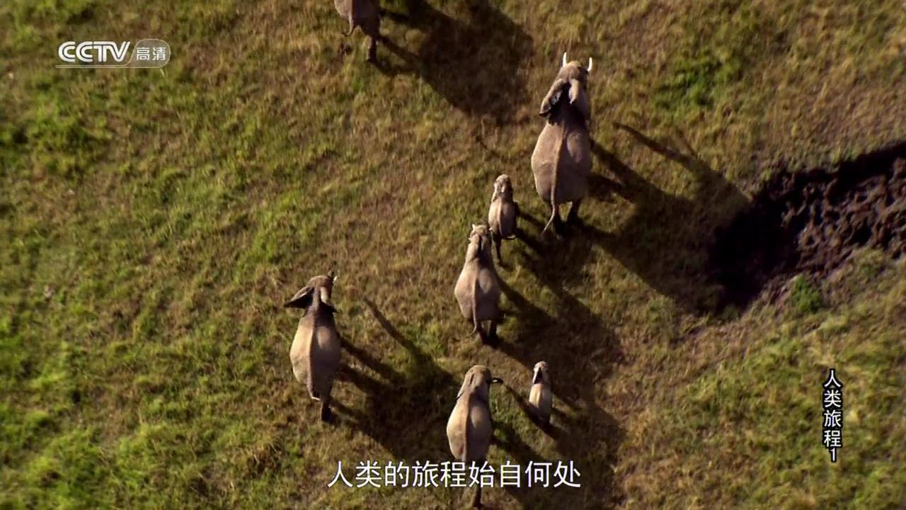 人类旅程 剧照2