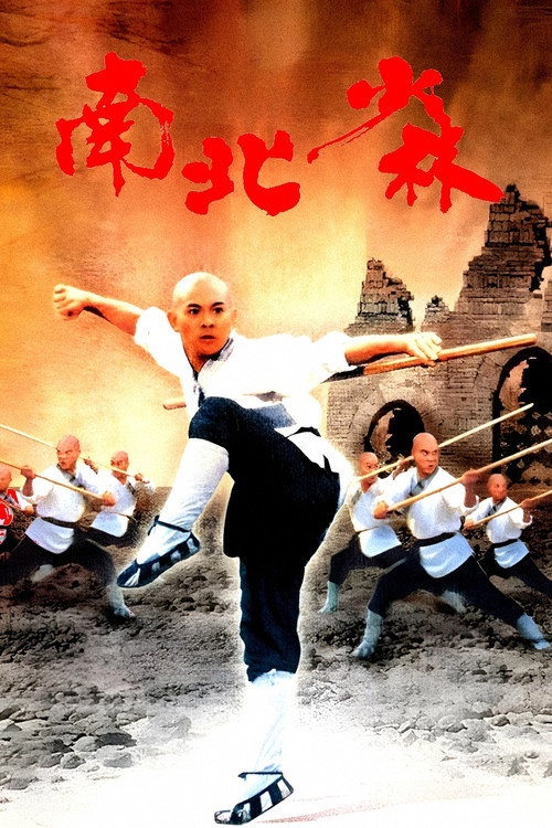 南北少林 海报