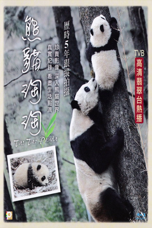 熊猫淘淘 海报