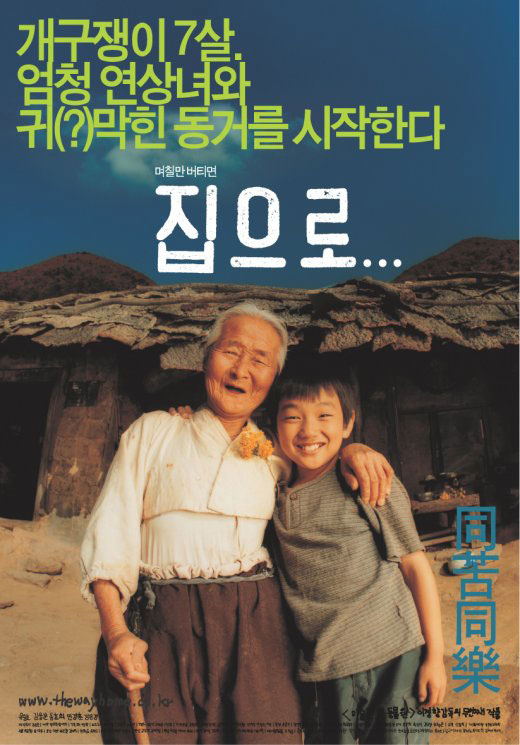 爱回家 海报