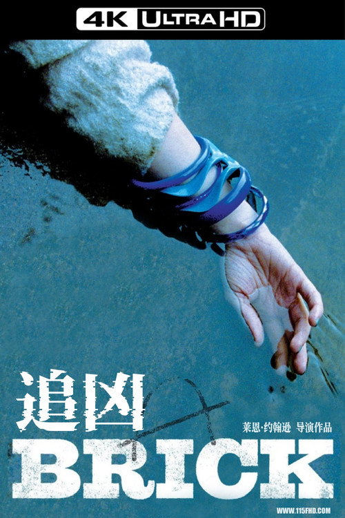 追凶/砖 海报