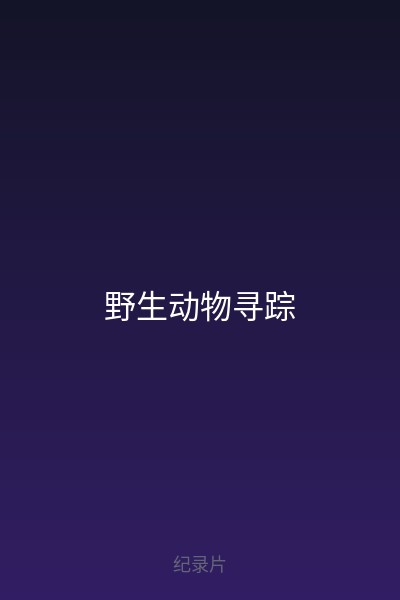 野生动物寻踪 海报