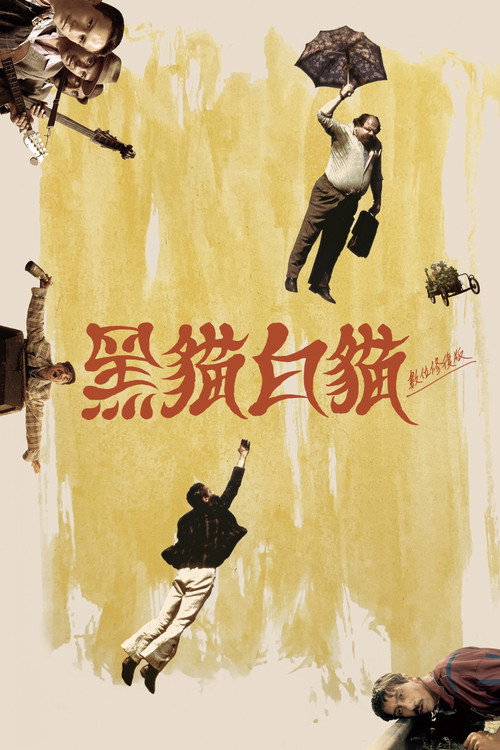 黑猫 海报