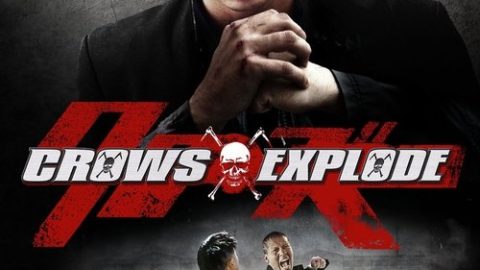 28785_poster