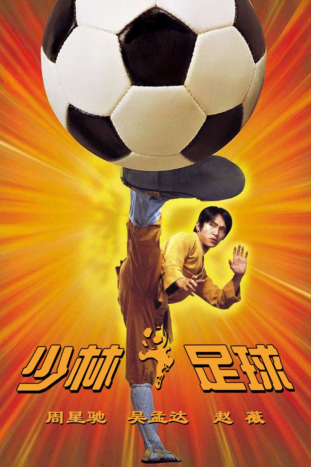 2cfaa3663d0729fa_poster.jpg
