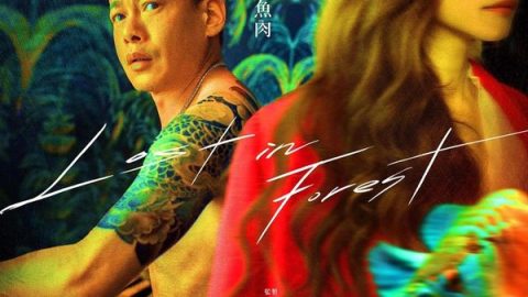 Lost in the Forest 官方海报