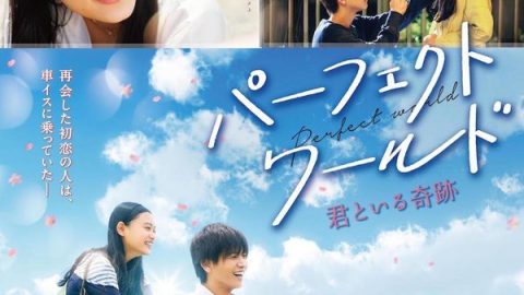 Perfect World～与他一起的奇迹～(港) 官方海报