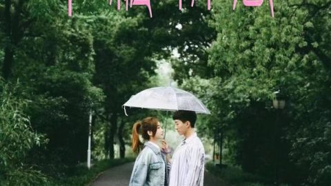 TASTE OF ROMANCE 官方海报