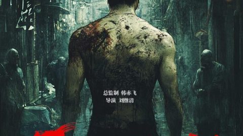 The Accidental Success 官方海报