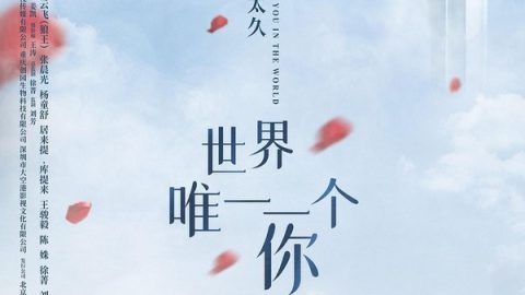 世界唯一一个你 官方海报