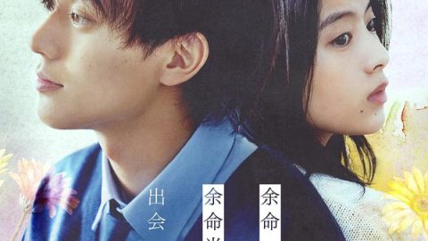 余生一年的我，遇见了的余生半年的你的故事 官方海报