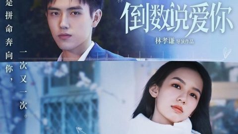 倒数说爱你 官方海报