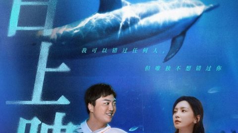 奋斗吧青年 官方海报