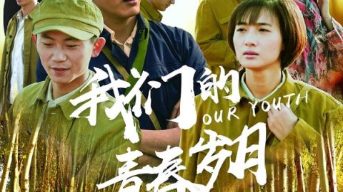 我们的青春岁月 官方海报