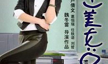 我的美女总裁老婆 官方海报
