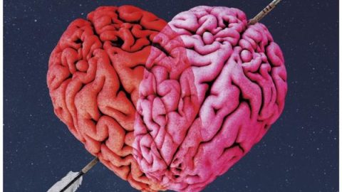 爱的透视图 官方海报