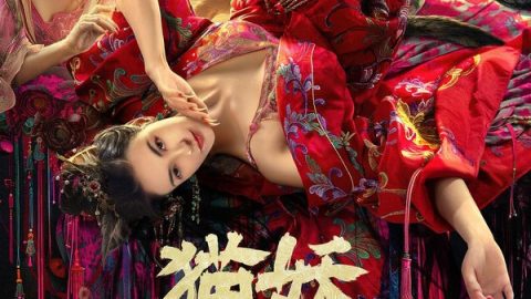猫妖奇谭 官方海报