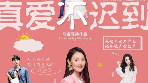 真爱不迟到 官方海报
