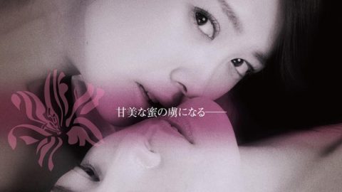 禁断之百合(港) 官方海报