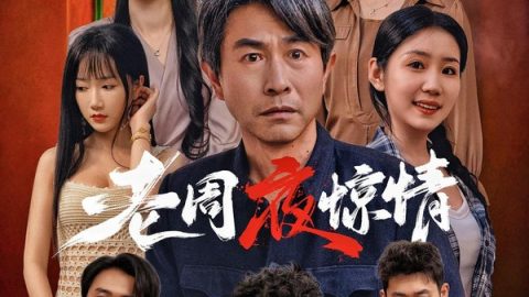 老周夜惊情 官方海报