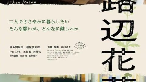 路边花草 官方海报