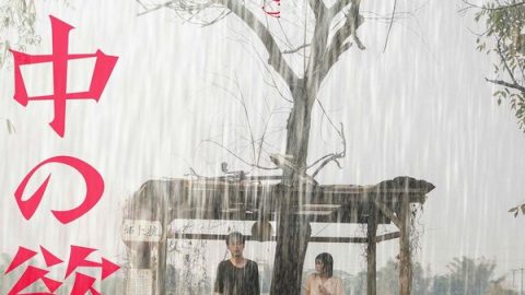 雨中的情欲 官方海报