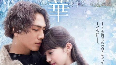 雪之华 官方海报