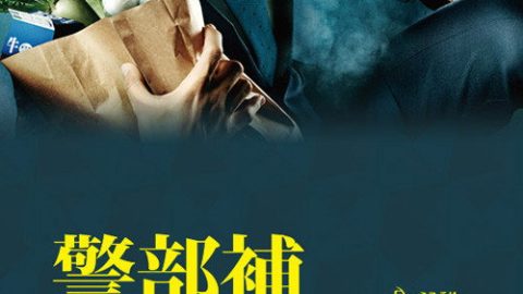 dsj3_84571_2015_poster