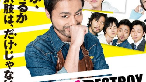 dsj3_REPLAY-DESTR_poster.jpg