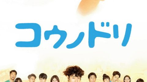 dsj3_产科医鸿鸟_poster.jpg