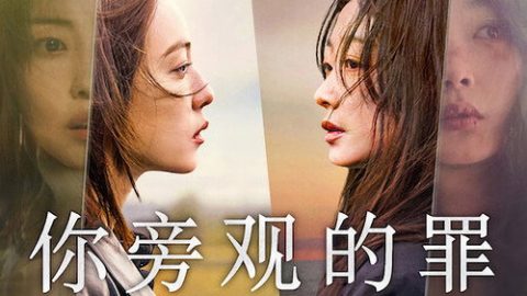 dsj3_你旁观的罪_poster.jpg