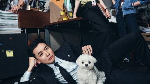 dsj3_公益律师_poster.jpg