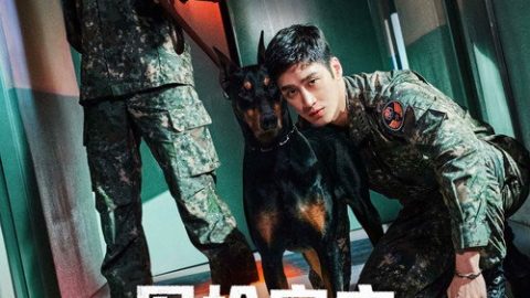 dsj3_军检察官多伯曼犬_poster.jpg