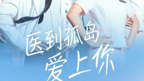 dsj3_医到孤岛爱上你_poster.jpg
