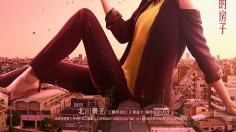 dsj3_卖房子的女人_poster.jpg