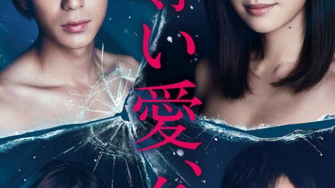 dsj3_夺爱，冬_poster.jpg