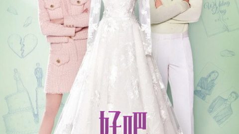 dsj3_好，我们离婚吧_poster.jpg