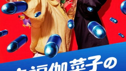 dsj3_幸福伽菜子的快乐杀手生活_poster.jpg