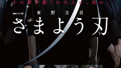 dsj3_彷徨之刃_poster.jpg