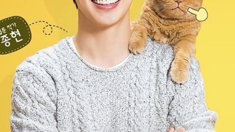 dsj3_想象猫咪_poster.jpg