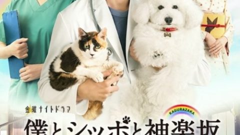 dsj3_我与尾巴与神乐坂_poster.jpg