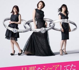 dsj3_我分享了老公_poster.jpg