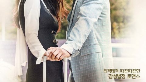 dsj3_拖旅行箱的女人_poster.jpg