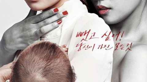 dsj3_杜鹃之巢_poster.jpg