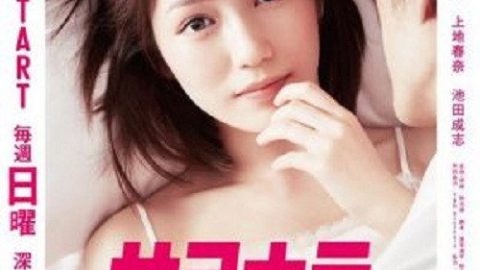 dsj3_永别了，江成_poster.jpg