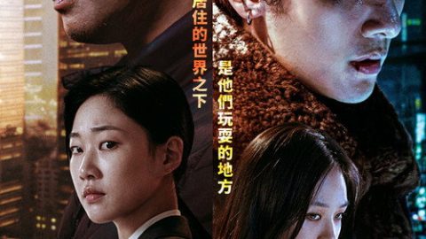 dsj3_江南重案组_poster.jpg